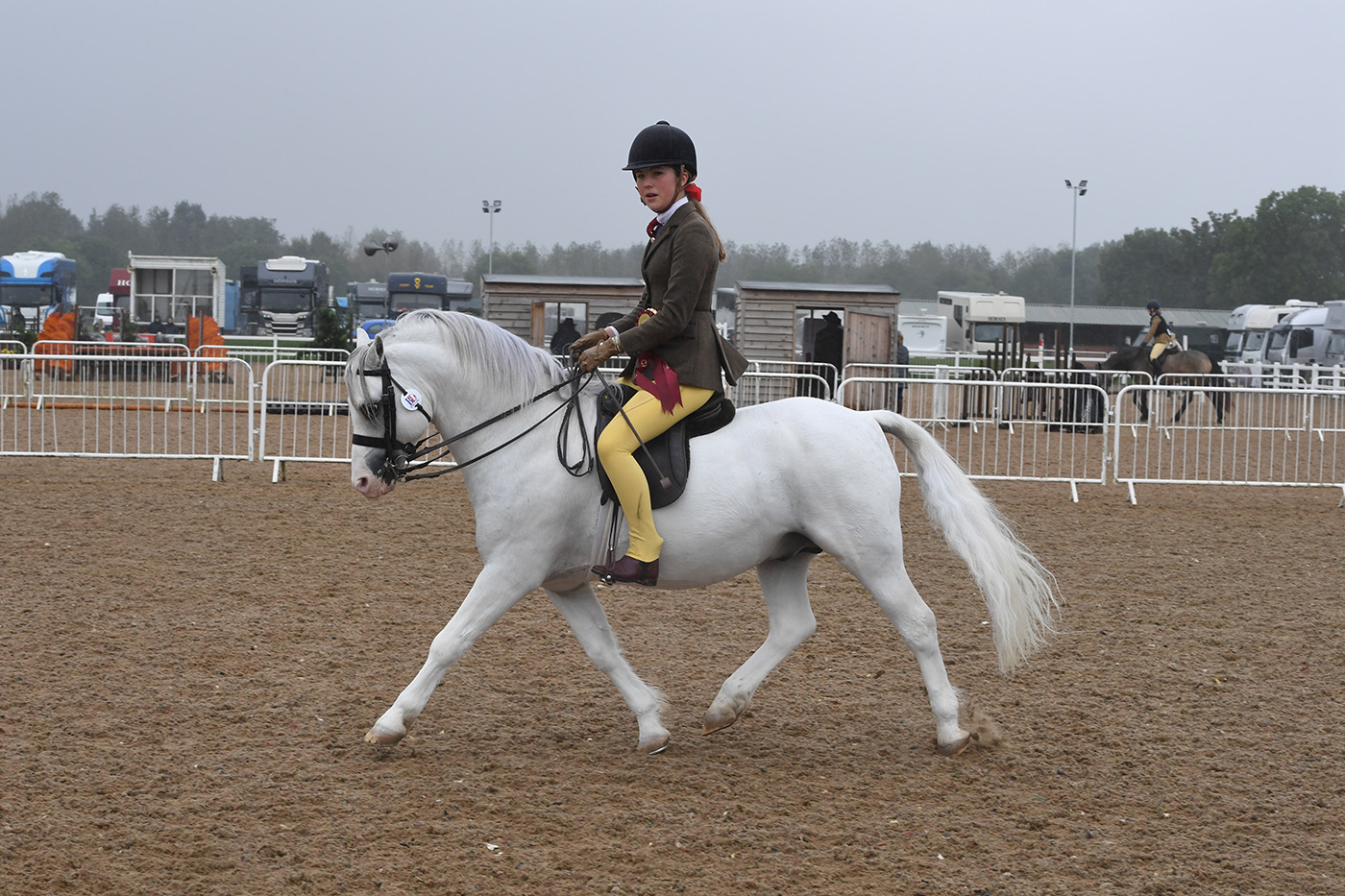 Heritage Show 17.10.21CL 86No.208 Hoekhurst Example. Liby Grota