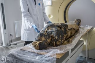 Researchers took scans of the mummy and found that the remains belonged to a pregnant woman.