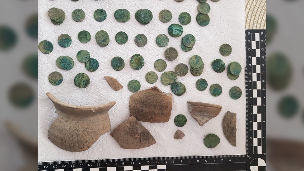 The horde contains about 1000 small copper coins from the time of the Polish-Lithuanian Commonwealth. Most of them were minted between 1663 and 1666.