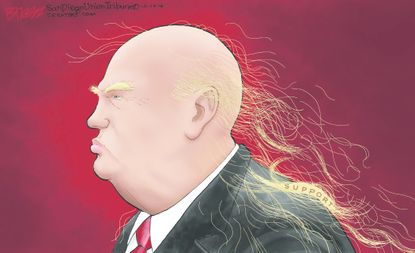 Political cartoon U.S. 2016 election Donald Trump support hair loss