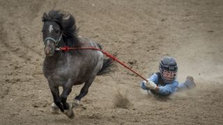 Wild Pony Race at the Calgary Stampede