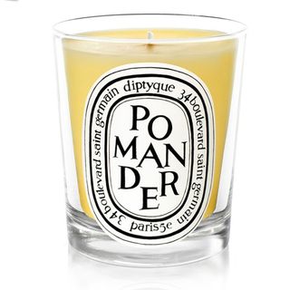 diptyque candle in spiced orange and cinnamon