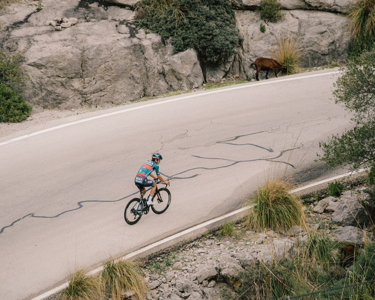 Bora-Hansgrohe kit 2023