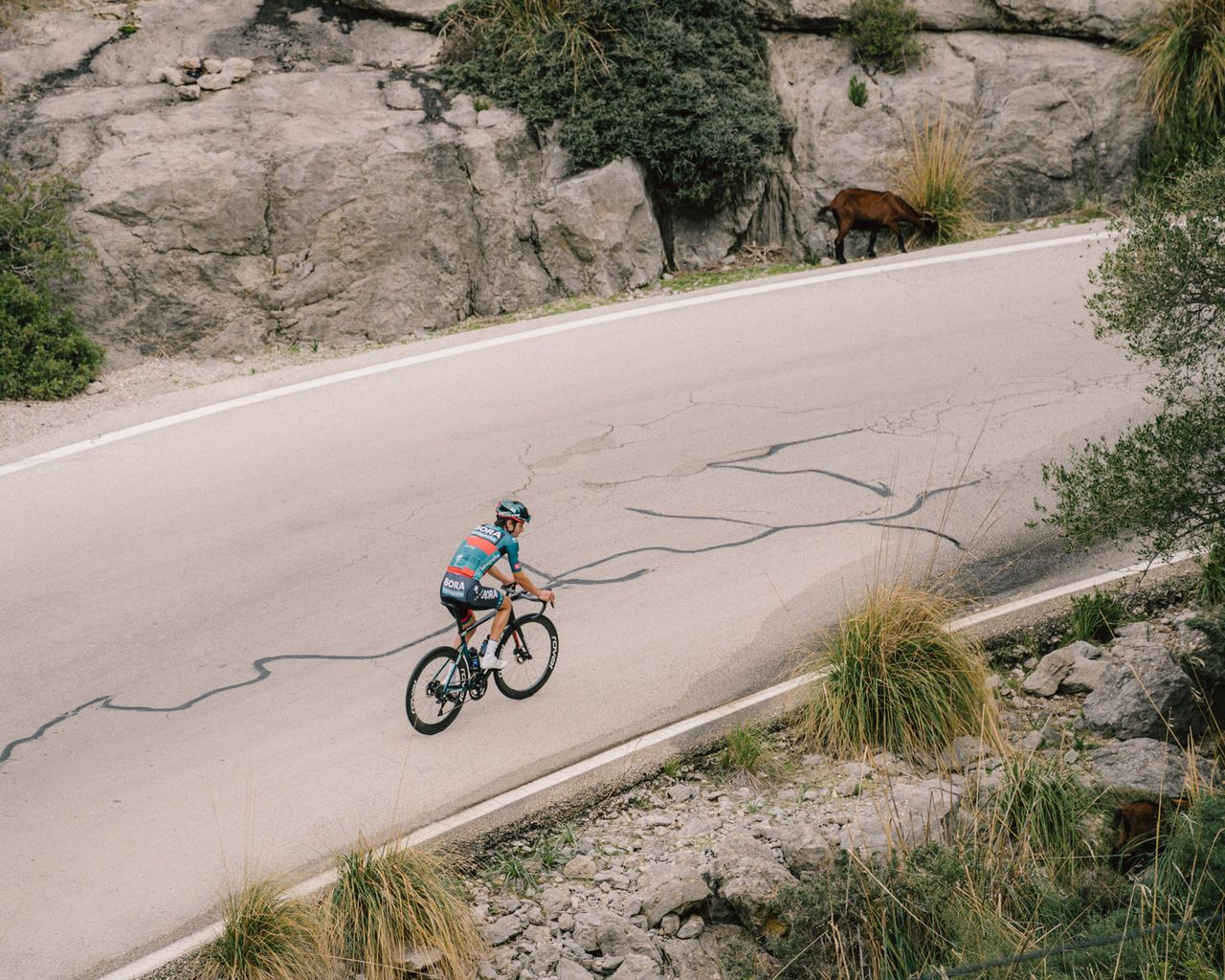 Bora-Hansgrohe kit 2023