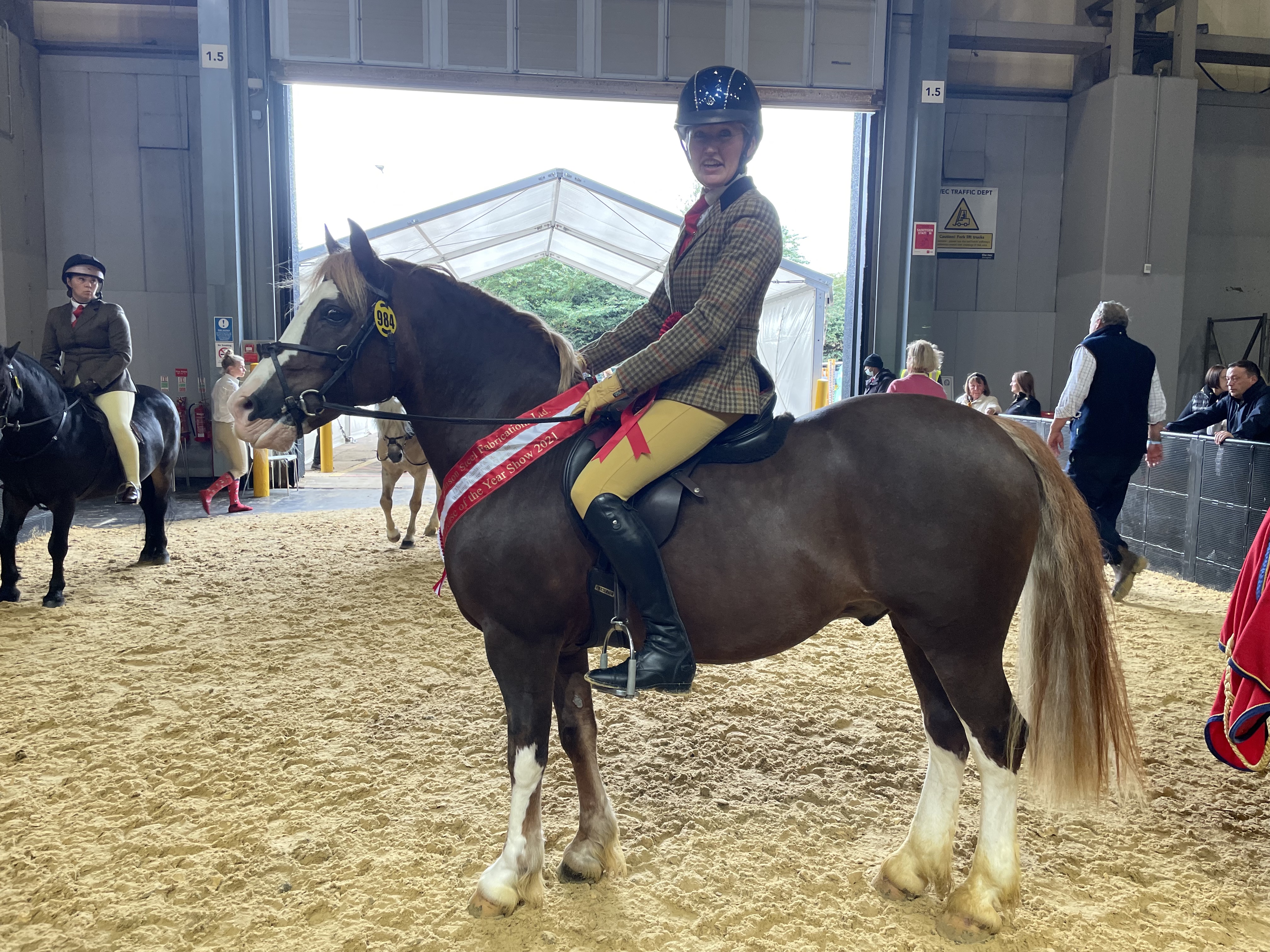 HOYS 138cm M&amp;M WHP: Katy Stock and Rushfield Oh So Smart won the M&amp;M working hunter pony 133cm title at HOYS 2021