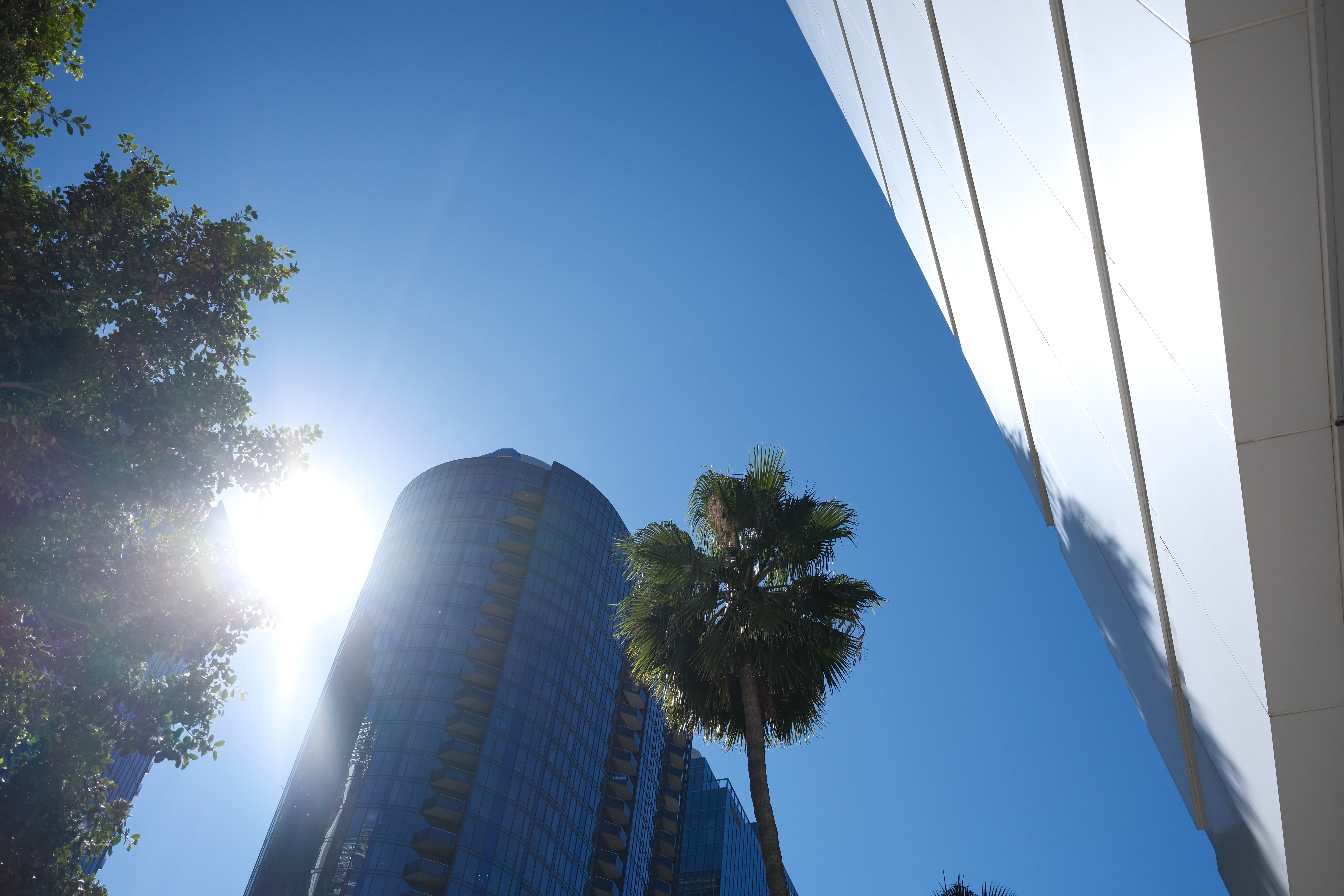 A photograph taken with the Fujifilm X-E5 and Fujifilm XF 23mm f/2.8 R WR