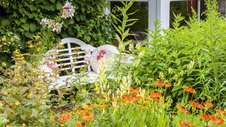 cottage garden plants