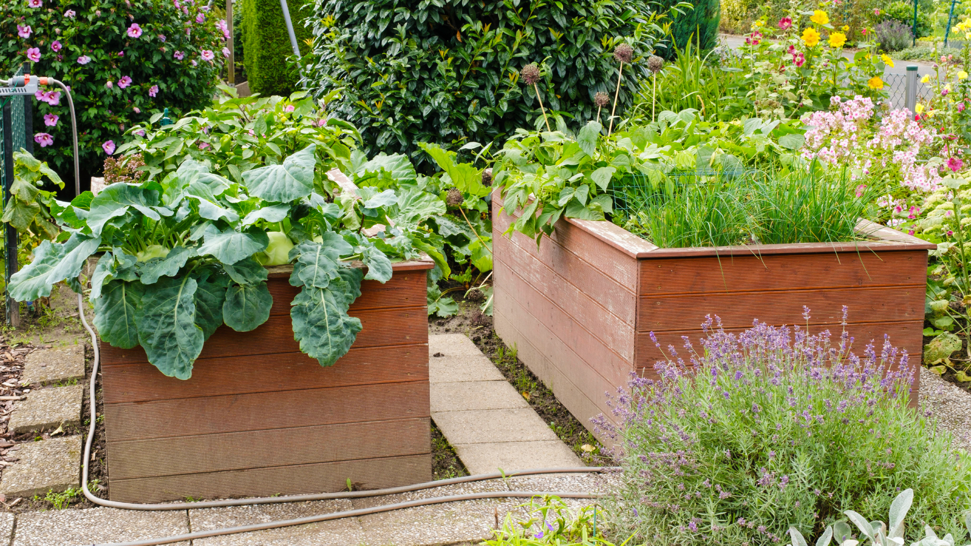 raised beds in a garden 