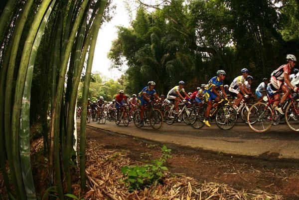 The peloton chases the break.