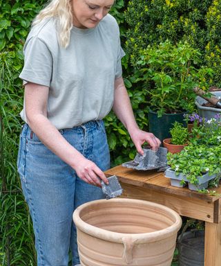 Step-by-Step Planting Summer Containers. Cottage Garden Pot Step 1 break up pieces of polystyrene seed tray to fill bottom of pot, reducing weight of finished pot