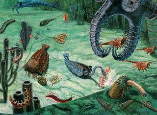 Animal in the life in the Cambrian displayed all sorts of new physical forms and functions.