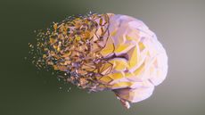 Brain illustration dissolving.