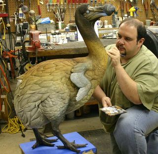 George Dante paints a scientifically accurate model of a dodo. Dante worked with Phil Fraley Productions to recreate the dodo, commissioned in 2005 for a museum in Singapore.