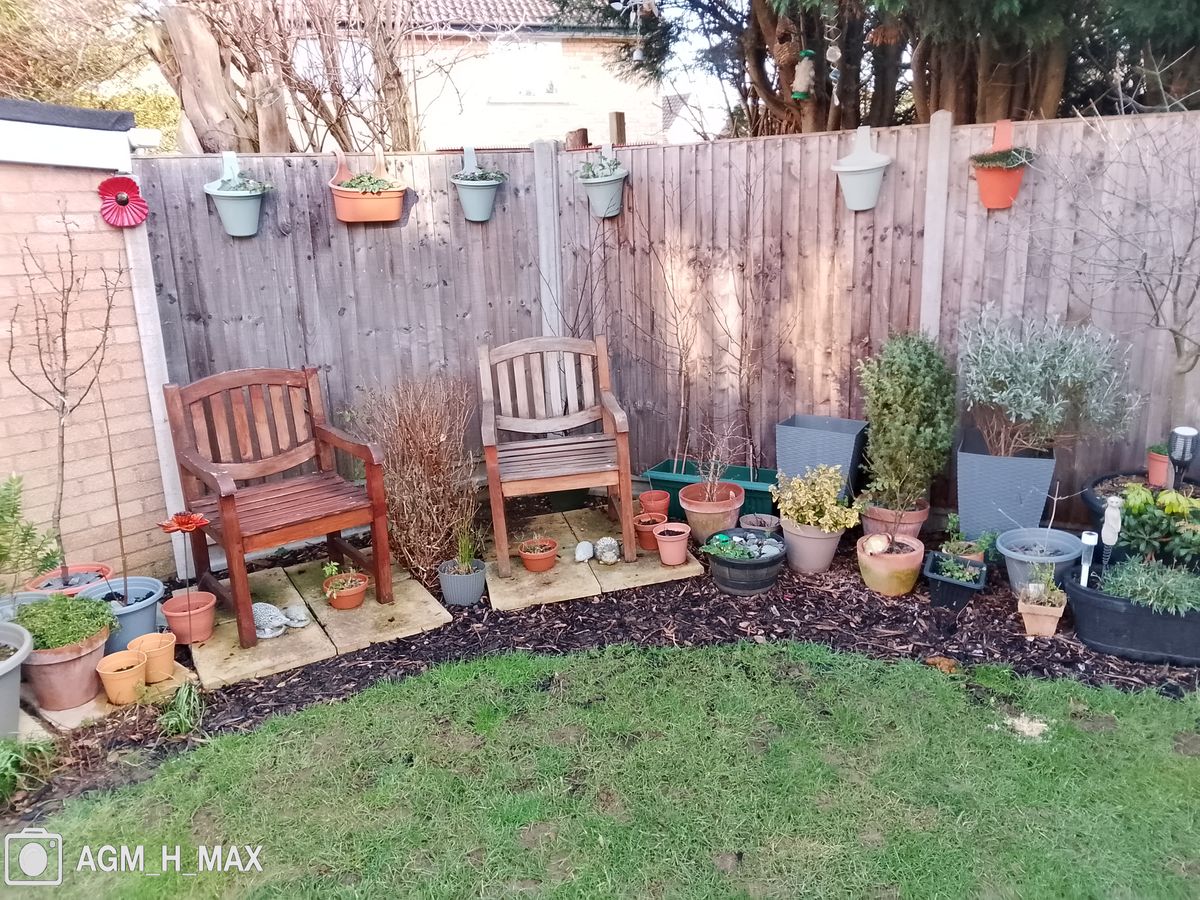 Photos taken with the AGM H Max