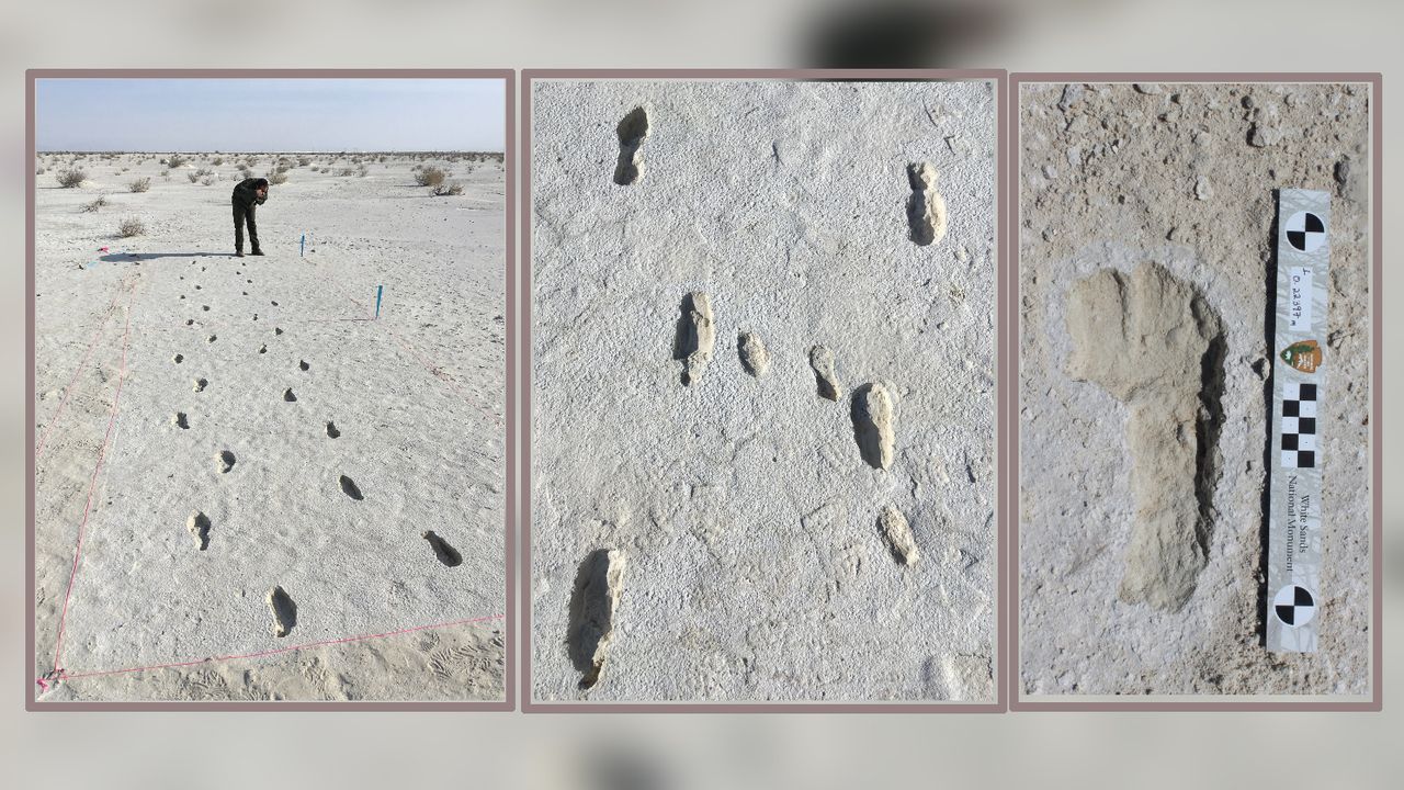 Researchers excavate a section of the prehistoric trackway at White Sands National Park. The middle image shows the clear impression of a toddler&rsquo;s footprints, perhaps showing where the adult caregiver put the child down to rest or readjust before continuing the journey.