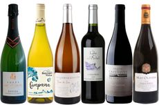 Languedoc report 2023 value