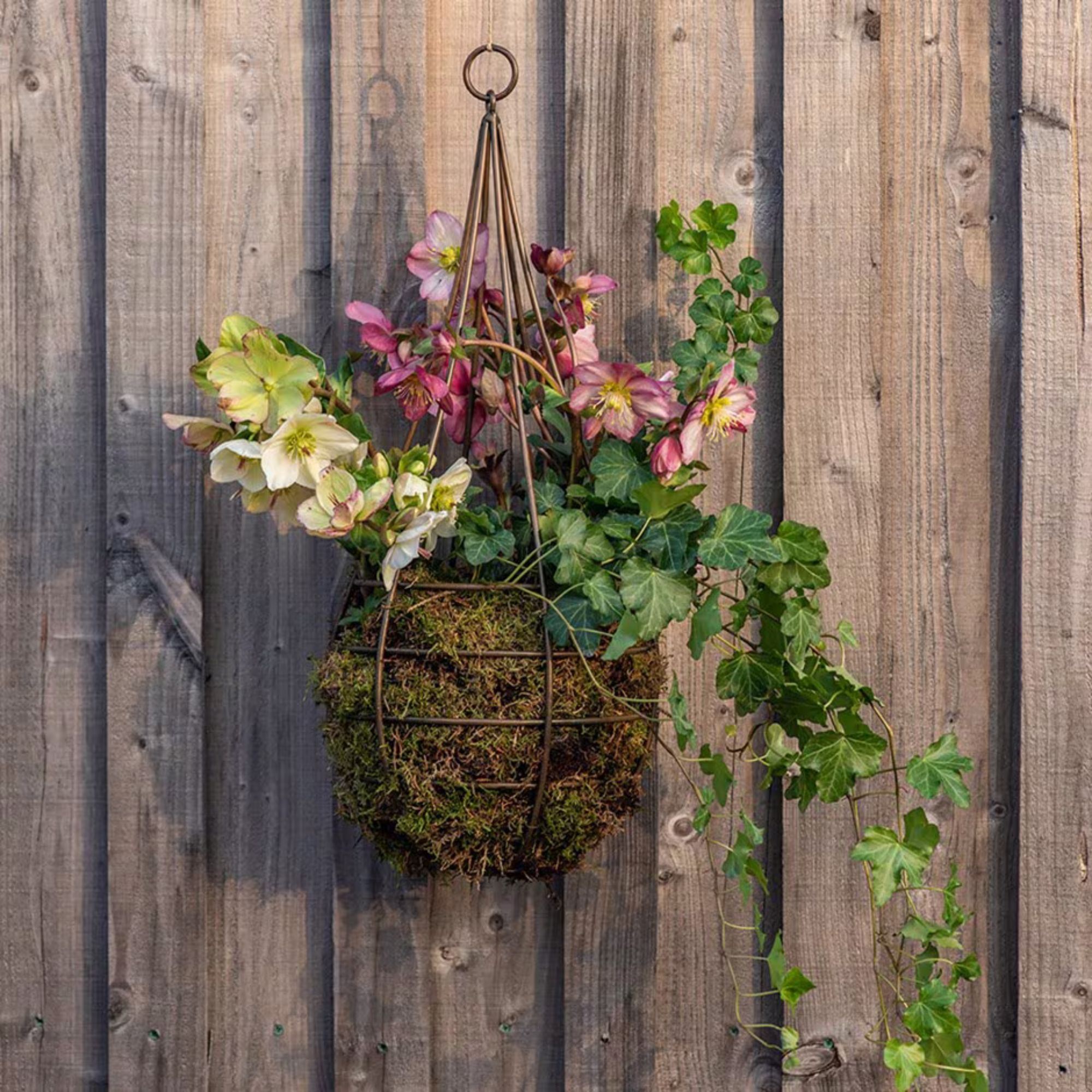 picture of Hanging tear drop basket