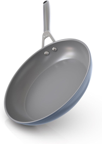 Ninja NeverStick Ceramic Pro 10.25" Fry Pan