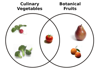 Diagrama de Venn de frutas vs. verduras