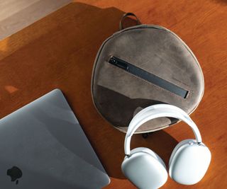 Waterfield Designs Airpods Max Case