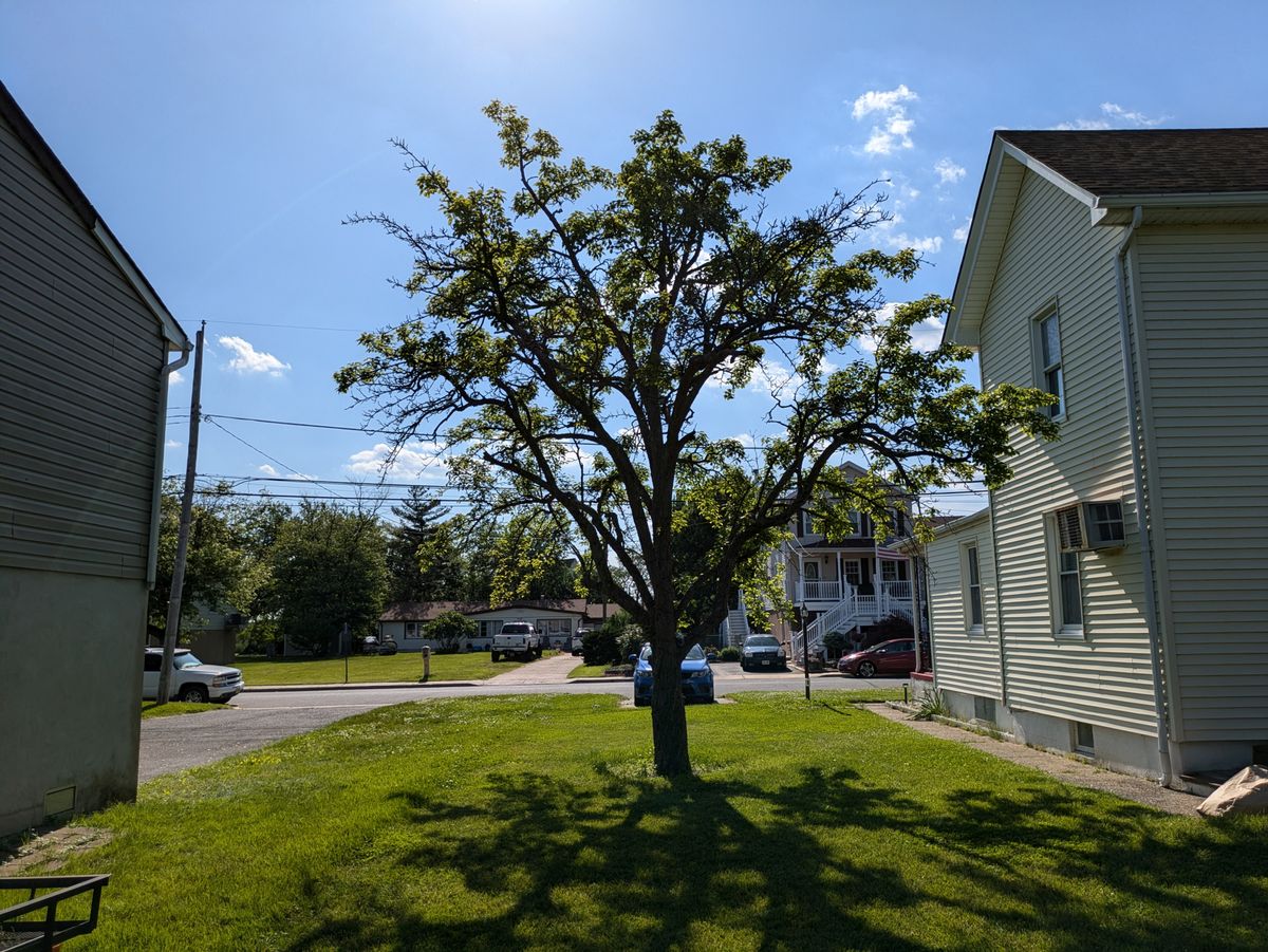 Google Pixel 8a daytime sample.