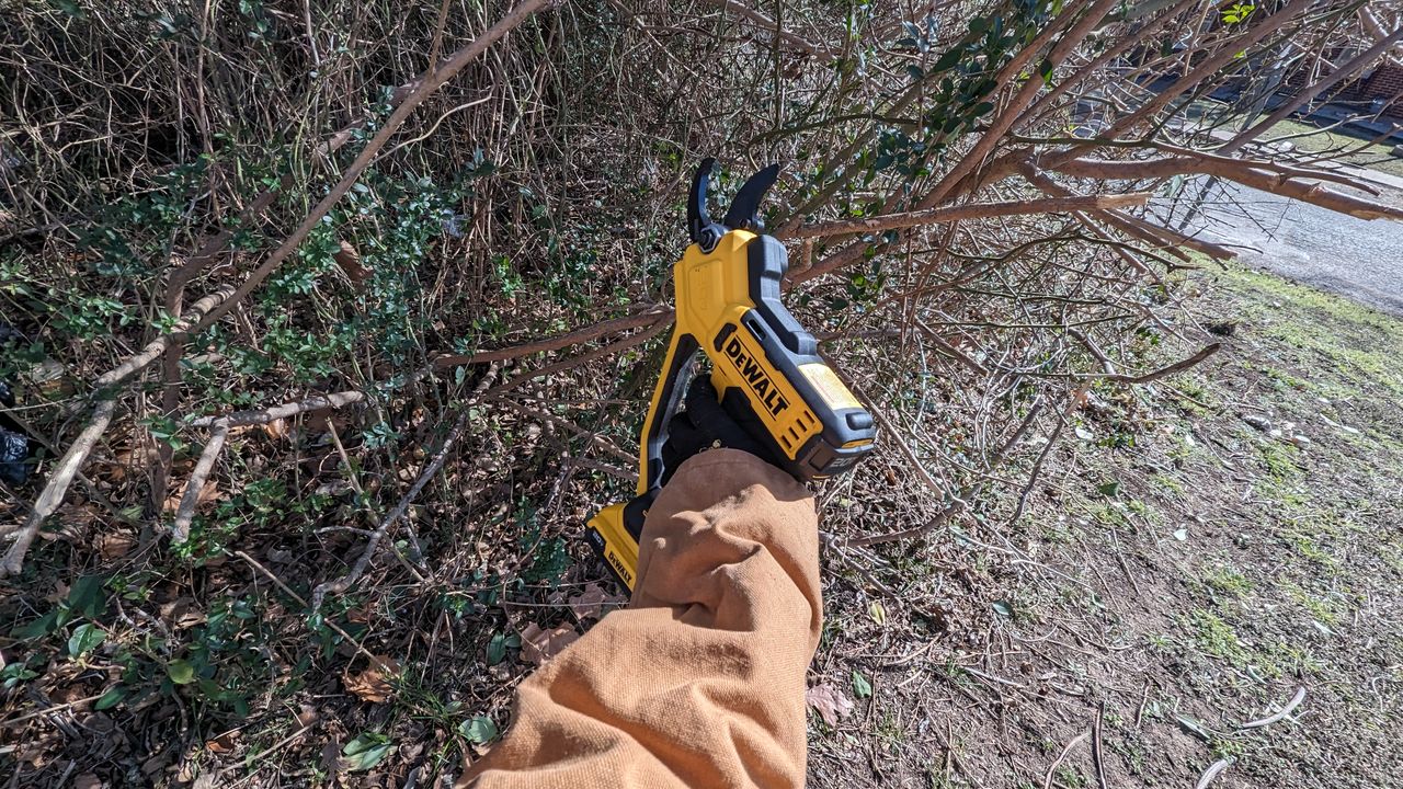 DeWalt 20V MAX Cordless Battery Powered Pruner