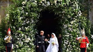 Photograph, Ceremony, Marriage, Wedding, Bride, Event, Wedding dress, Tradition, Tree, Bridal clothing,