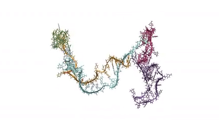This GIF shows a short clip of RNA folding as its made by cellular machinery