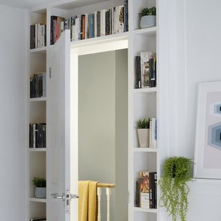 white in-built shelves around a white door, holding a variety of books and pot plants