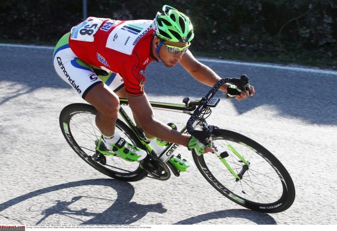 Peter Sagan (Cannondale) in Christmas colours