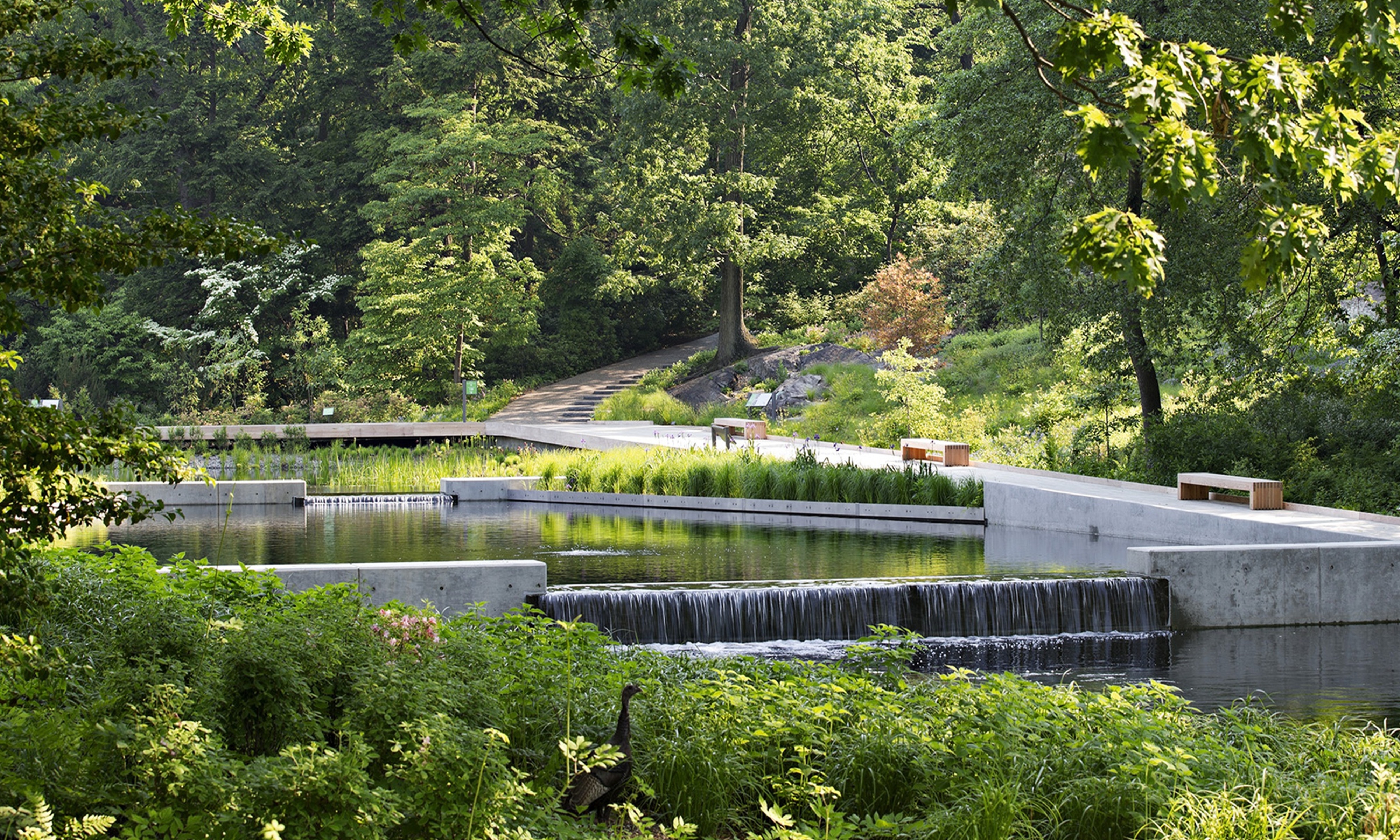 The Native Plant Garden at The New York Botanical Garden