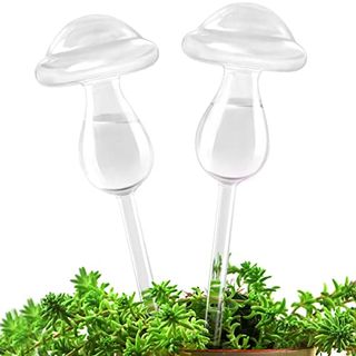 Kikihome New Plant Waterer Self Watering Globes, Hand Blown Clear Glass Plant Water Bulbs for Indoor & Outdoor (2 Mushrooms)