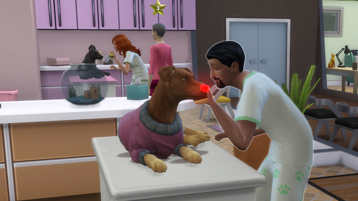 No one can stop me from neutering all the pets in The Sims 4 Cats & Dogs PC Gamer