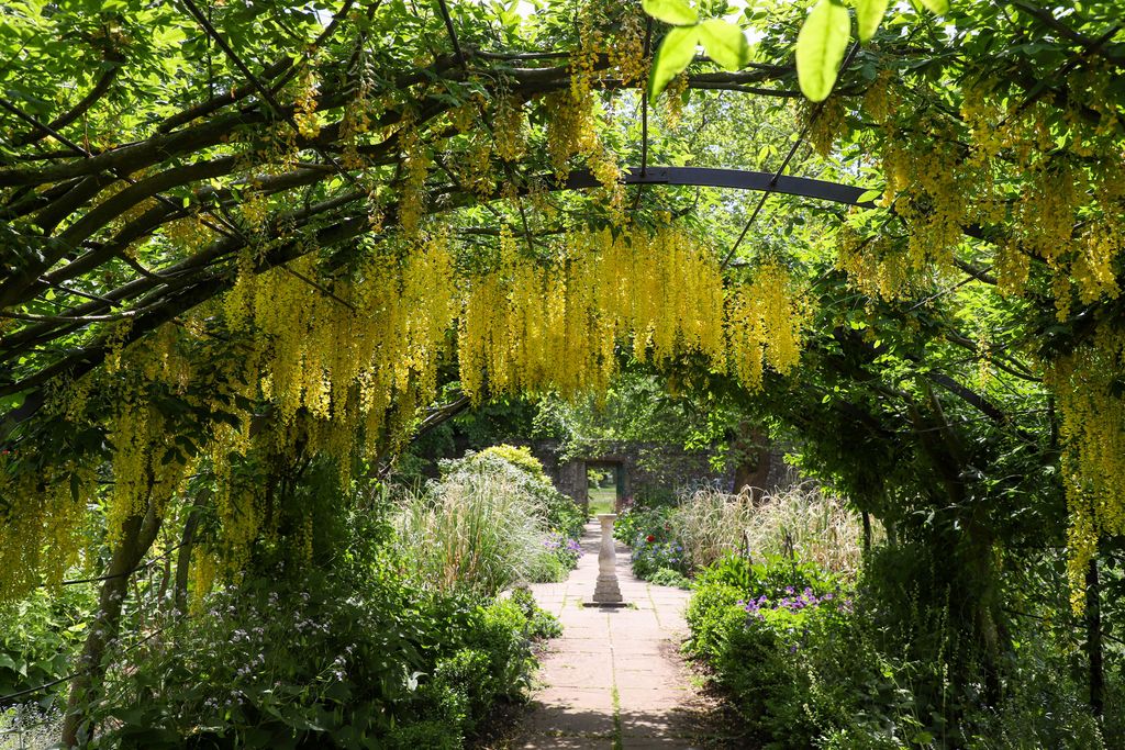 Cottage Garden Path Ideas: 13 Beautiful Ways To Make Journeying Through 