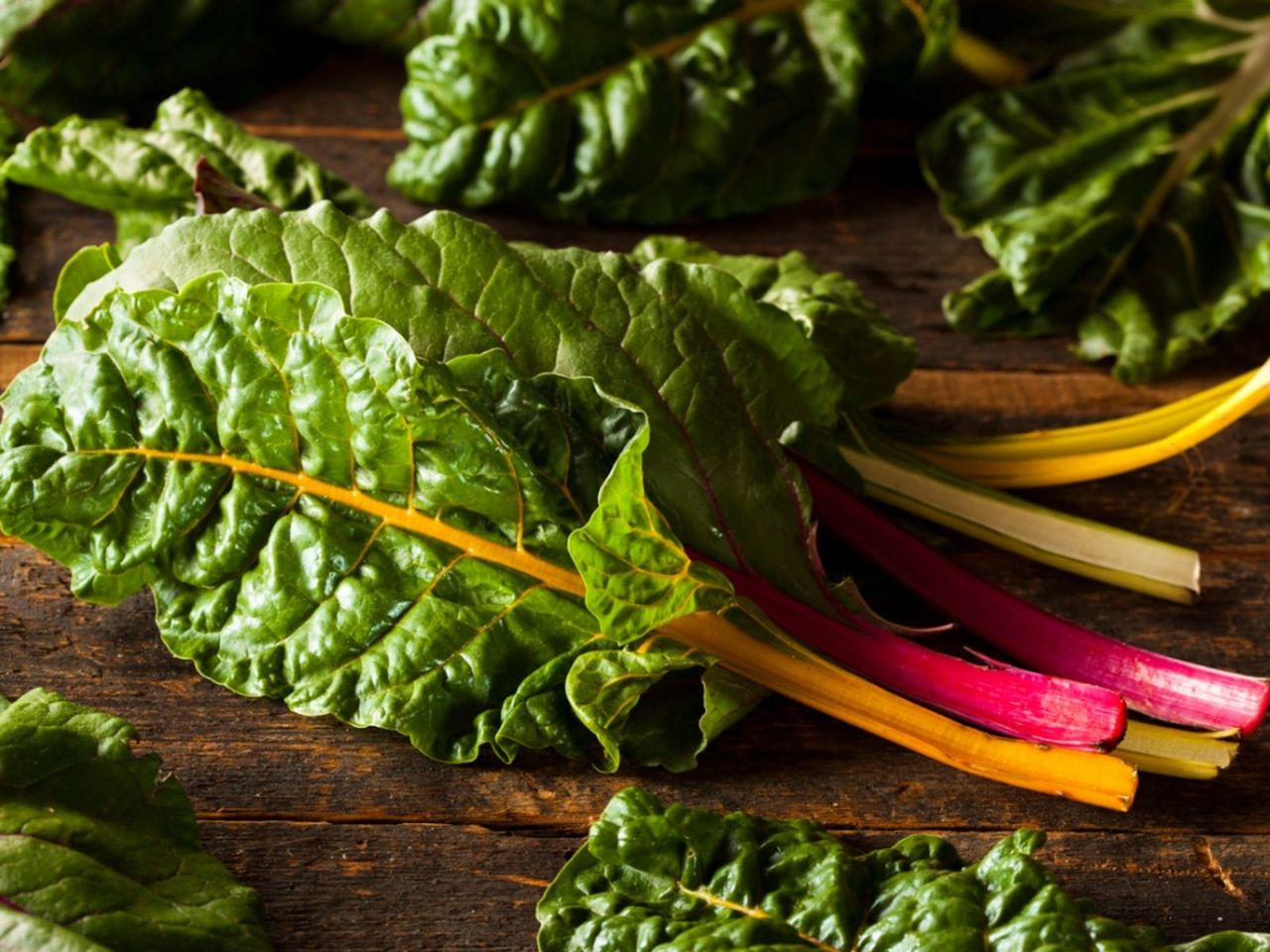 Table Full Of Swiss Chard Plants