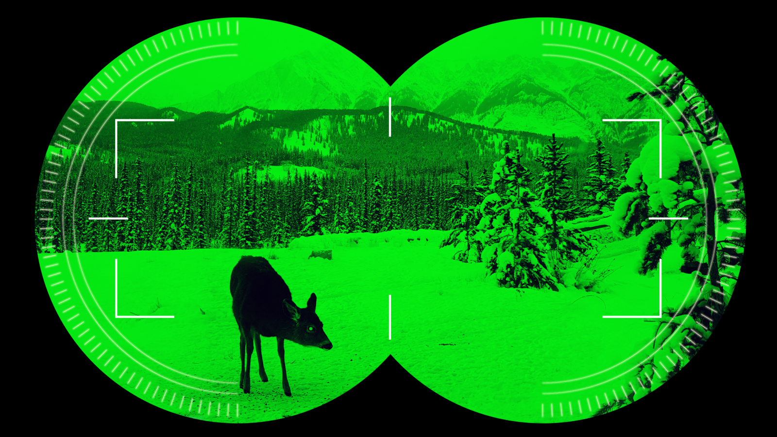  'Night vision lenses' could give you power to see in the dark using simple eyeglasses 