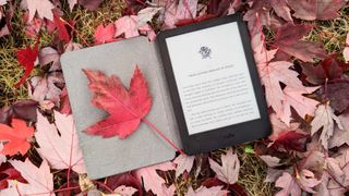 Kindle (2022) with the cover open and a leaf on the cover