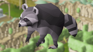 An image of a raccoon superimposed over the sorceress' garden in Old School Runescape.