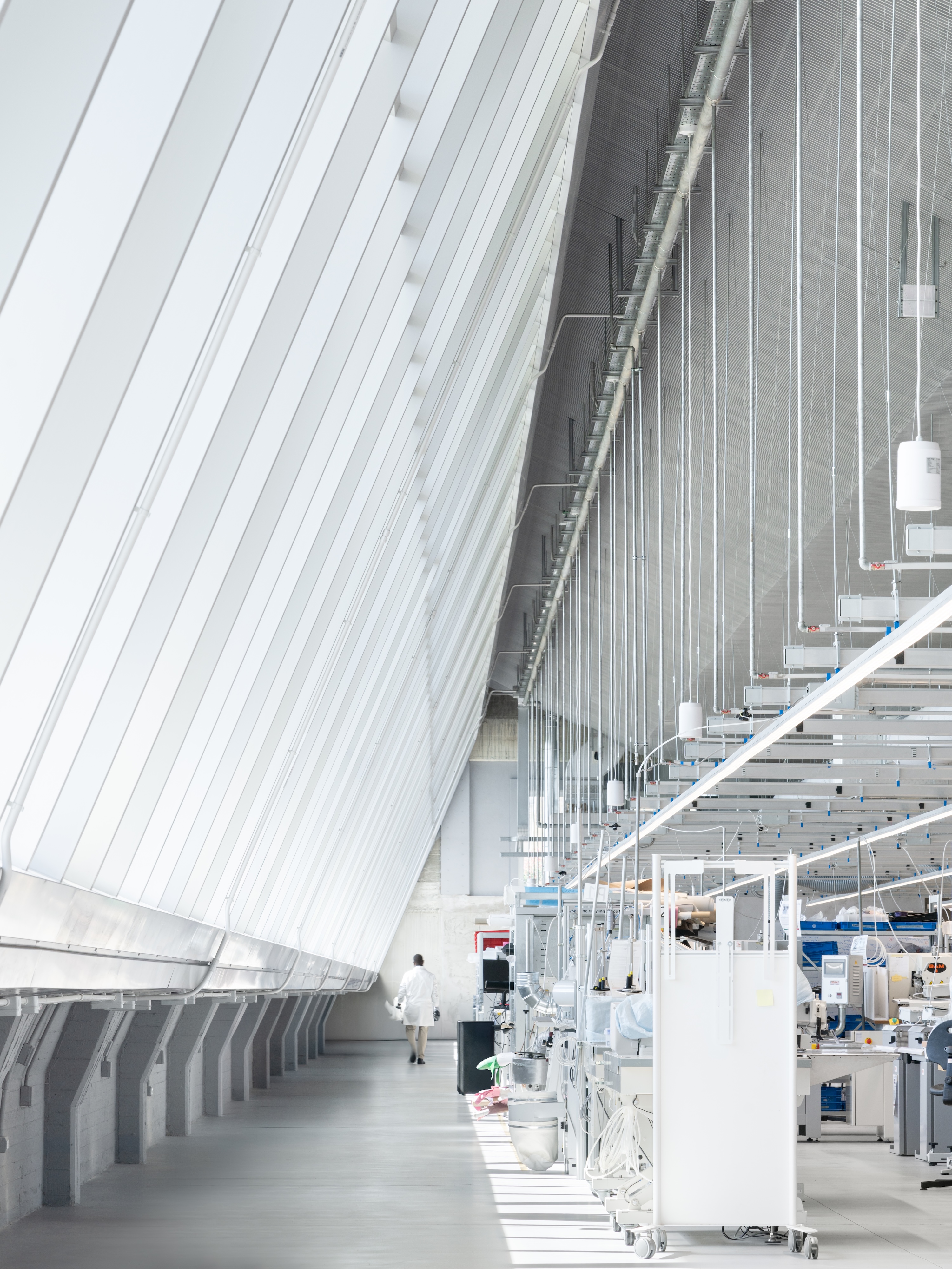 Balenciaga The Plant