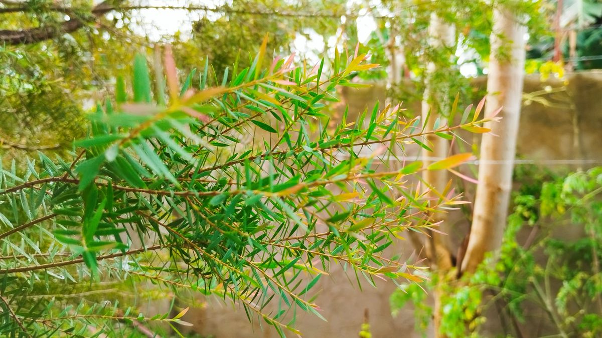 Poco X5 camera samples