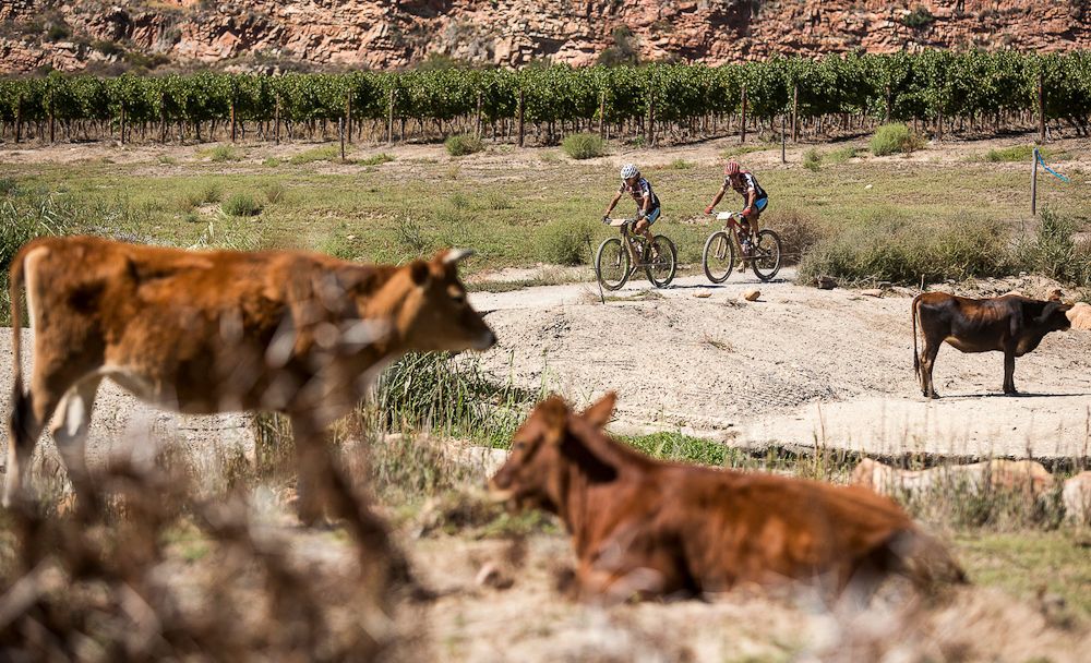 2018 Cape Epic stage 2