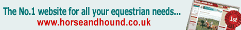 h&amp;amp;h_banner.gif