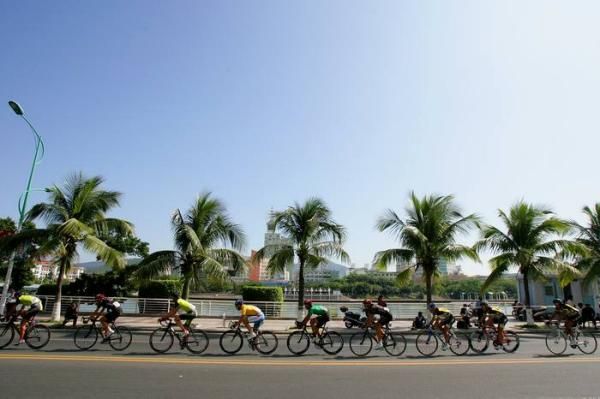 The riders pass some palms.