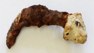 The two nails discovered at Tel Aviv University match the chemical signature of the ossuaries in the Caiaphas tomb and have traces of an unusual fungus found there.