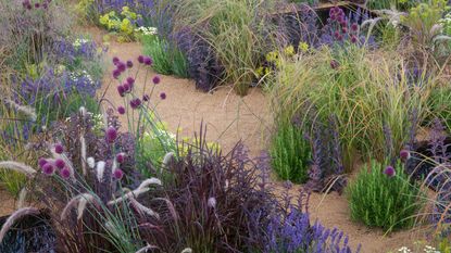 landscaping with grasses in gravel garden