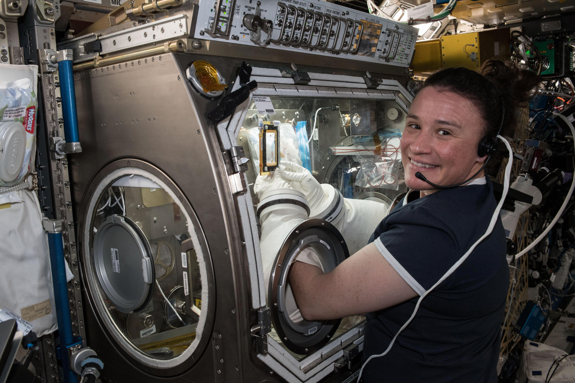 Expedition 56 Flight Engineer Serena Auñón-Chancellor is seen here performing operations for the Angiex Cancer Therapy trials on board the International Space Station. 