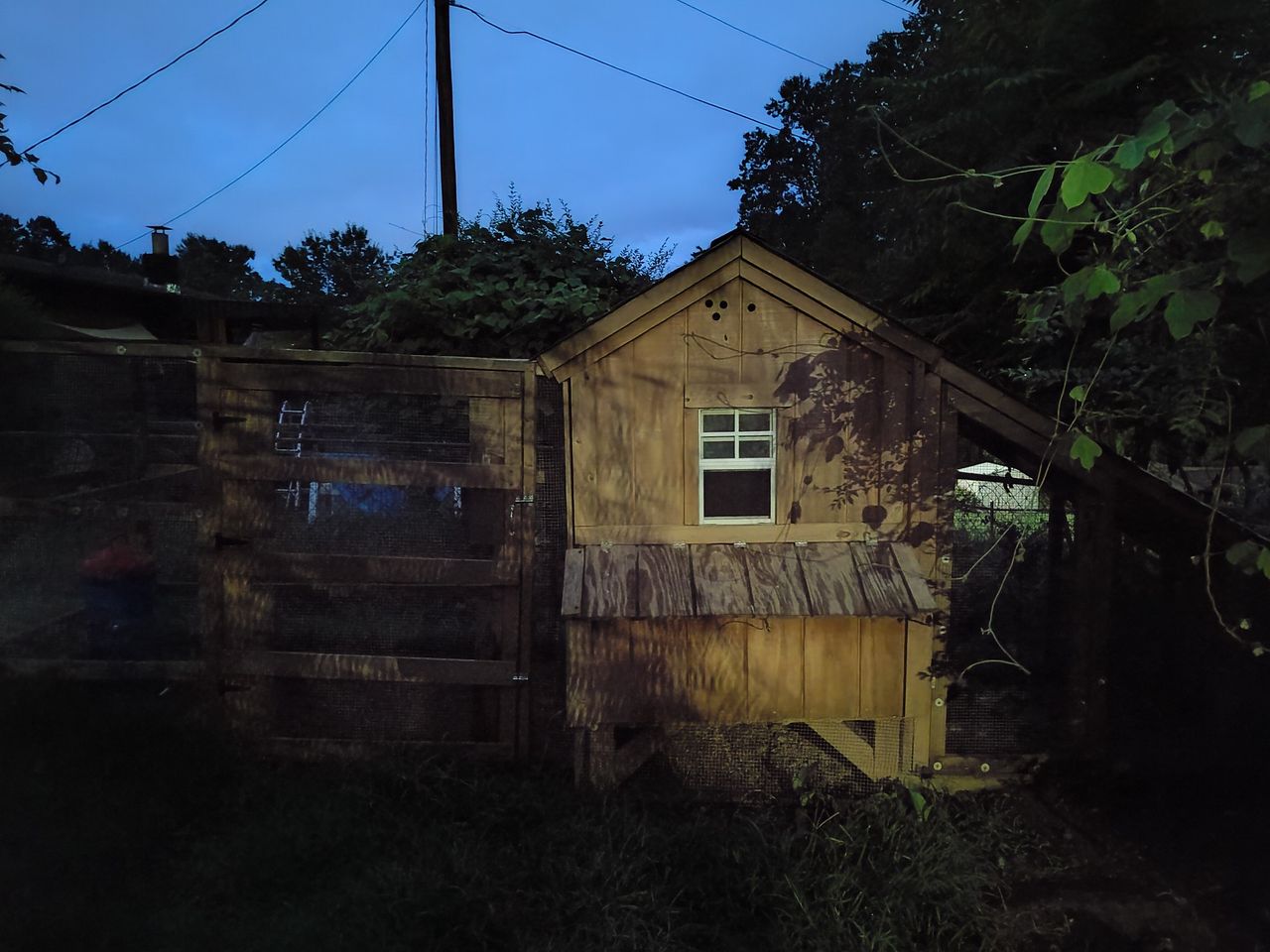 Nothing phone (1) camera shots