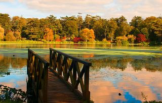 Autumn colour at Mount Stewart, Northern Ireland