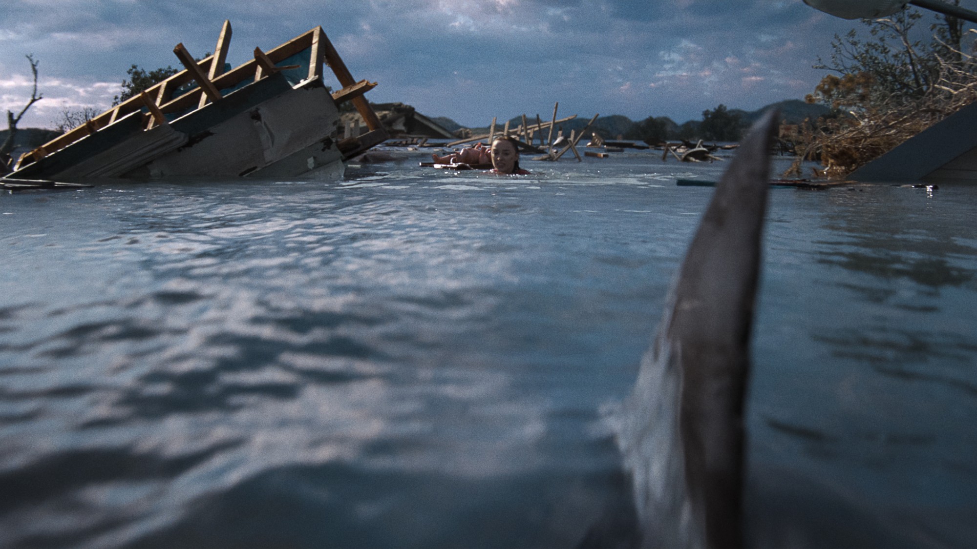still from the movie &lsquo;Thrash&rsquo;. a shark fin is in the foreground, surfacing above the water and heading toward people in the water in the background