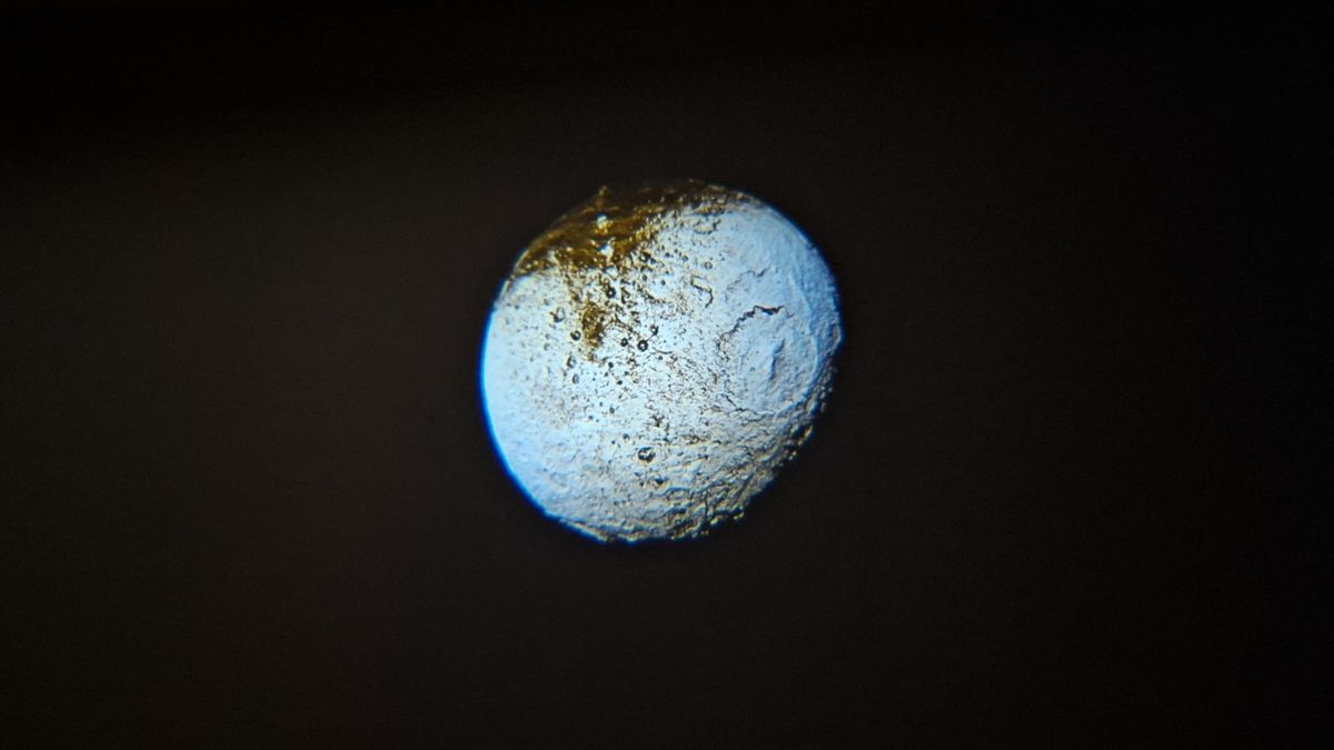 Discovery Galaxy Projector